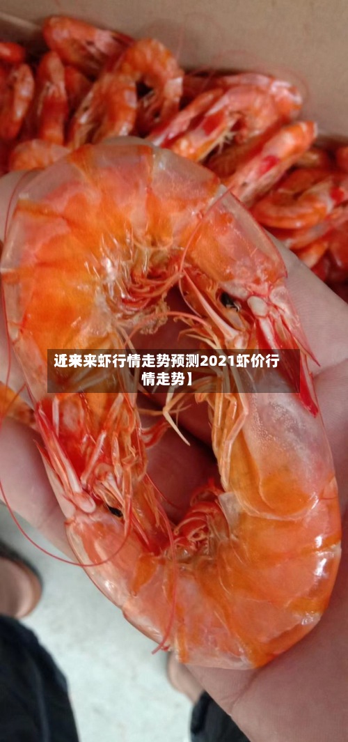 近来
【未来虾行情走势预测2021虾价行情走势】