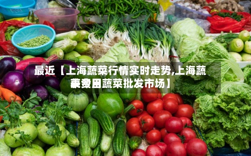 最近【上海蔬菜行情实时走势,上海蔬菜费用表今日蔬菜批发市场】-第3张图片