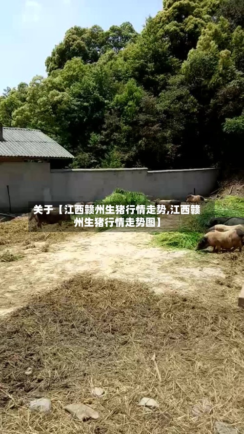 关于【江西赣州生猪行情走势,江西赣州生猪行情走势图】-第2张图片
