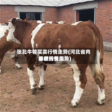 张北牛犊买卖行情走势(河北省肉牛收购费用
最新行情走势)-第2张图片