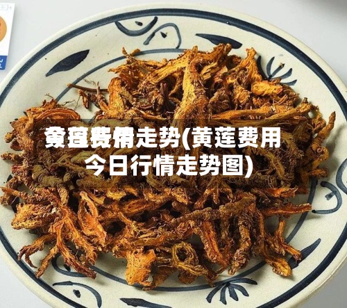 黄莲费用今日行情走势(黄莲费用今日行情走势图)-第2张图片