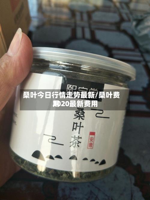 桑叶今日行情走势最新/桑叶费用2020最新费用-第2张图片