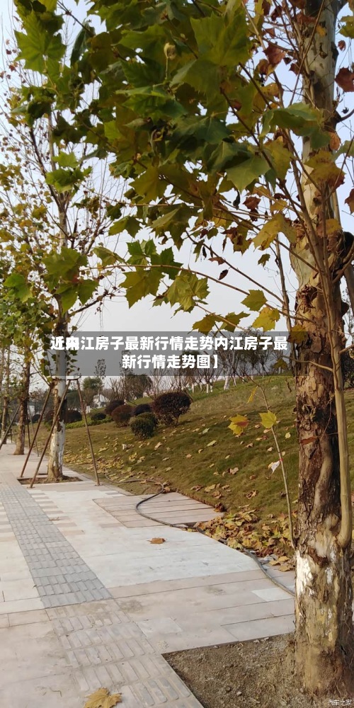 近来【内江房子最新行情走势内江房子最新行情走势图】