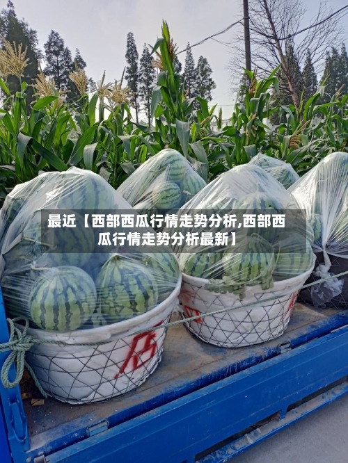 最近【西部西瓜行情走势分析,西部西瓜行情走势分析最新】