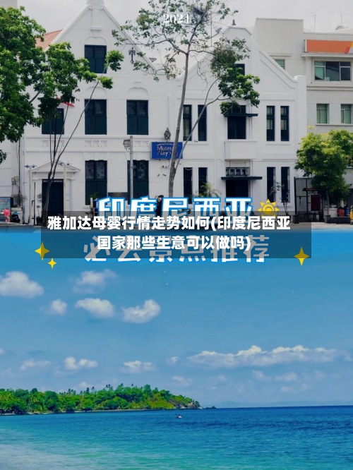 雅加达母婴行情走势如何(印度尼西亚国家那些生意可以做吗)