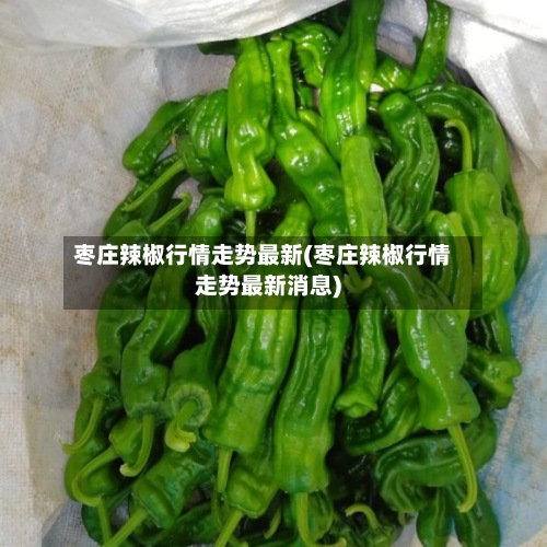 枣庄辣椒行情走势最新(枣庄辣椒行情走势最新消息)-第3张图片