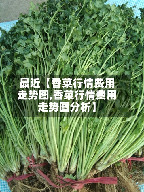 最近【香菜行情费用走势图,香菜行情费用走势图分析】